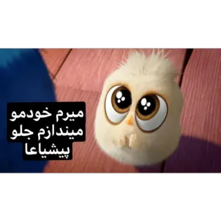 😐 میرم خودمو میندازم جلو پیشیاعا uroczy, ptak, zwierzę telegram sticker