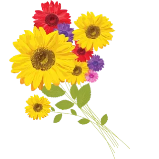 🌸 цветы, букет, подсолнухи, цветочный, природа, растения telegram sticker