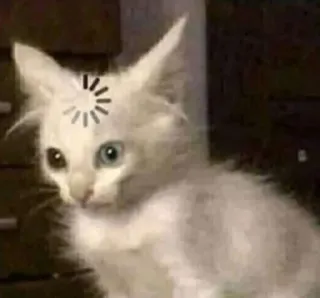 🤔 кот, котенок, загрузка, ожидание, думаю, мем telegram sticker