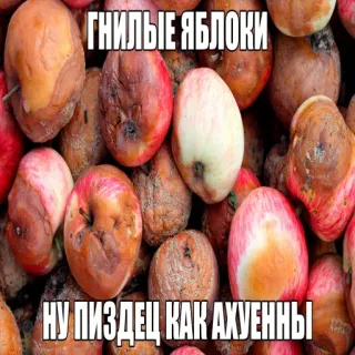🤤 ГНИЛЫЕ ЯБЛОКИ
НУ ПИЗДЕЦ КАК АХУЕННЫ mele marce, offensivo, frutta, andato a male, mele cattive telegram sticker