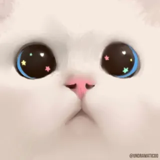 🌟 @UNDRAMATICDD gato, gatito, lindo, ojos, animal, mascota telegram sticker