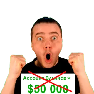 🔫 Mikhail Litvin ACCOUNT BALANCE $50 000 telegram sticker