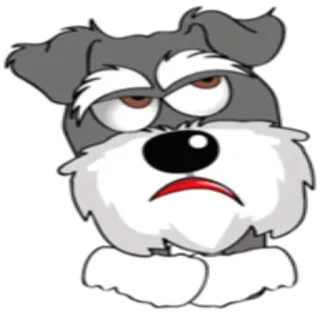 😠 perro, dibujos animados, animal, pegatina, gruñón, schnauzer telegram sticker
