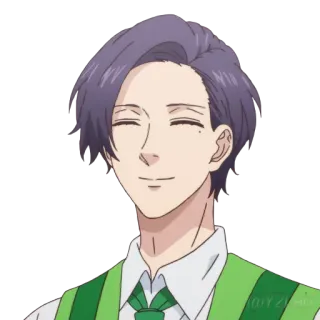 😊 anime, character, purple hair, smiling, green vest telegram sticker