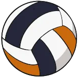 🏐