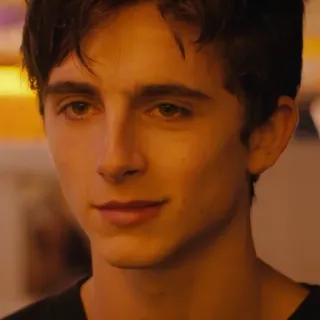 🙂 Timothée Chalamet актер, знаменитость, портрет, мужчина, человек, фильм whatsapp sticker