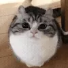 🎈