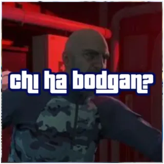 💵 chi ha bodgan? telegram sticker