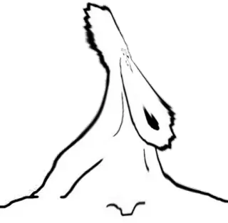 😦 telegram sticker