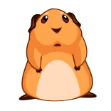 🙅‍♂️ guinea pig, rodent, animal, cute, pet telegram sticker