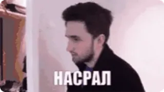 😎 НАСРАЛ telegram sticker