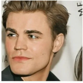 😊 Paul Wesley 배우, 남자, 인물 사진, 유명인 telegram sticker