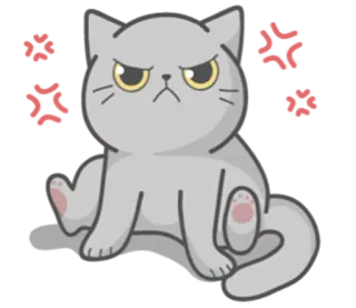 😡 kat, boos, schattig, sticker, dier telegram sticker
