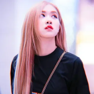 🌹 Rose Rose, cantante, celebridad, K-pop, mujer, ídolo whatsapp sticker
