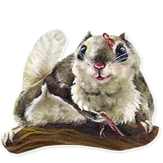 🎀 リス, 動物, 可愛い, 哺乳類, げっ歯類, 野生動物 whatsapp sticker