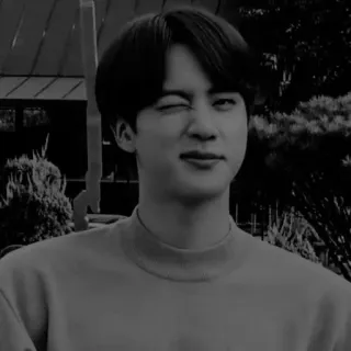 ✖️ Jin jin, bts, kpop, chanteur, idole, clin d'oeil telegram sticker