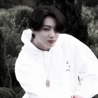 🐰 Jungkook K-pop, coreano, cantante, musica, BTS, maschio whatsapp sticker