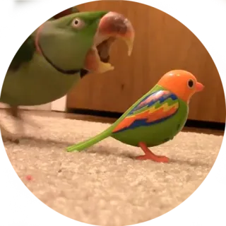 🤬 vogels, papegaai, speelgoed, dier, groen telegram sticker