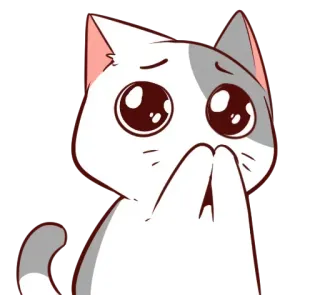 😸 แมว, อนิเมะ, คาวาอิ, น่ารัก, อ้อนวอน, ขอร้อง whatsapp sticker