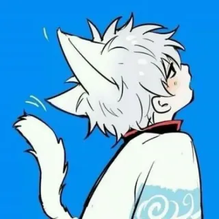 🐱 кошачьи ушки, аниме, мультфильм, белые волосы, синий фон whatsapp sticker