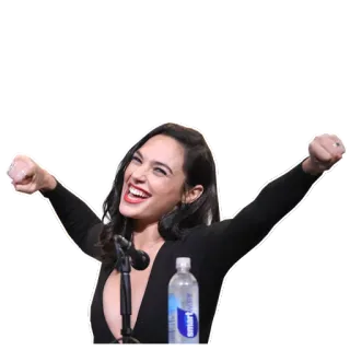 👌 Gal Gadot mujer, actriz, celebridad, Gal Gadot, persona, sonrisa, feliz whatsapp sticker