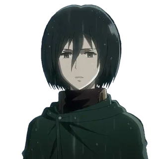 😐 Mikasa Ackerman Attack on Titan Mikasa, Attack on Titan, anime, personage, verdrietig, portret telegram sticker