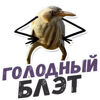 🍔 ГОЛОДНЫЙ БЛЯТ bird, sticker, funny, russian, hungry whatsapp sticker