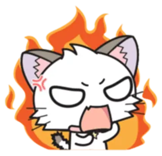 😠 cat, angry, flames, cartoon, animal, feline, expression whatsapp sticker