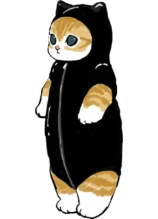 🩱 cat, onesie, cute, animal, kitten telegram sticker