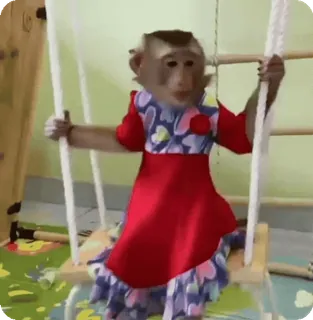 🪷 mono, animal, vestido, columpio, lindo, primate whatsapp sticker