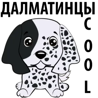 😍 ДАЛМАТИНЦЫ
С
О
О
О
L dalmatiër, hond, puppy, schattig, cartoon, dier, zwart wit whatsapp sticker