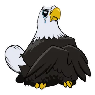 😓 aigle, triste, pleurs, dessin animé, oiseau, animal, illustration telegram sticker