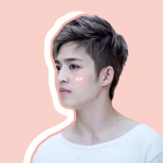 🙂 sticker, man, korean, idol, portrait, illustration telegram sticker