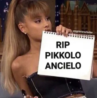 👼 RIP
PIKKOLO
ANCIELO Meme, Humor, Gracioso, Texto, RIP whatsapp sticker