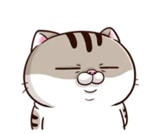 😑 Katze, Tier, süß, Aufkleber, Haustier, Haustier whatsapp sticker