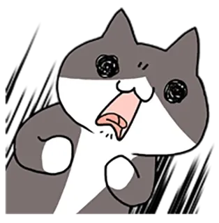 😱 chat, autocollant, animal, dessin animé, drôle, mignon whatsapp sticker