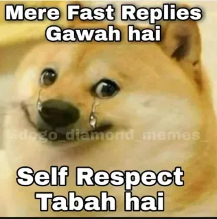🥲 Doge Doge Meme Mere Fast Replies Gawah hai Self Respect Tabah hai doge, meme, crying, sad, relatable, funny, text meme, internet culture telegram sticker