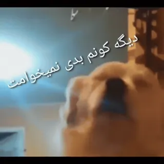 😂 دیگه کونم بدی نمیخوامت telegram sticker