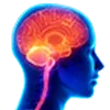 🧠