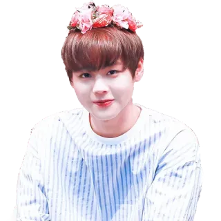 😊 цветок, портрет, милый, K-pop, человек, азиат, мужчина whatsapp sticker