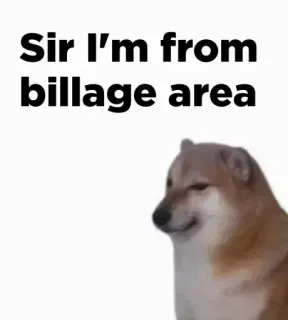🎭 Sir I'm from billage area доге, мем, собака, билладж, область whatsapp sticker