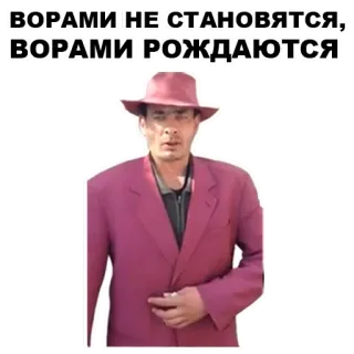 🥋 ВОРАМИ НЕ СТАНОВЯТСЯ, ВОРАМИ РОЖДАЮТСЯ telegram sticker
