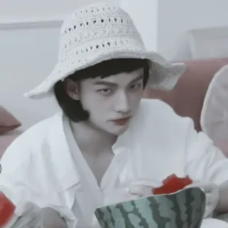 🔮 người, mũ, trắng, dưa hấu whatsapp sticker