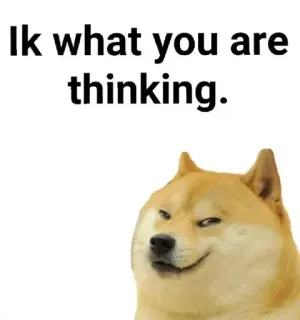 🤔 Doge Internet meme Ik what you are thinking. doge, meme, smirk, suspicious, funny, dog telegram sticker