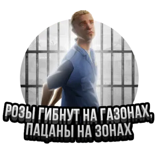 😂 РОЗЫ ГИБНУТ НА ГАЗОНАХ, ПАЦАНЫ НА ЗОНАХ telegram sticker