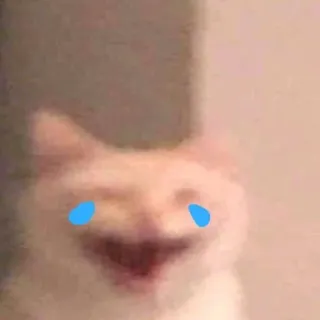 😹 Katze, weinend, traurig, Meme telegram sticker
