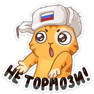 😱 НЕ ТОРМОЗИ! gatto, russo, ushanka, divertente, cartone animato, adesivo telegram sticker