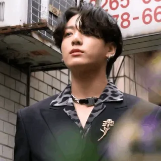 🕸 Jeon Jungkook kpop, cantor, moda, estilo, retrato, celebridade telegram sticker