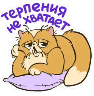 Lazycat @stickersb2b telegram stickers
