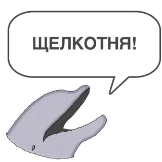 🤮 ЩЕЛКОТНЯ! delfín, cosquillas, animal, bocadillo, dibujos animados, humor whatsapp sticker
